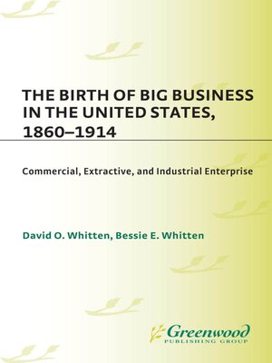 cover image of The Birth of Big Business in the United States, 1860-1914